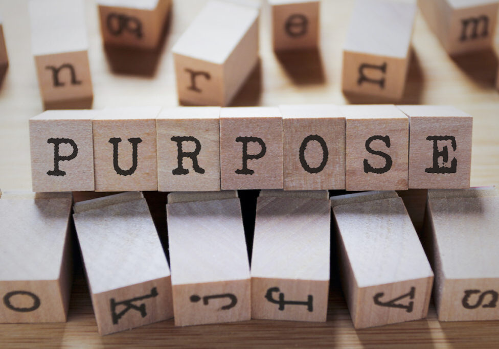 purpose